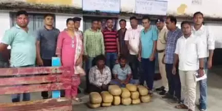 କେସିଙ୍ଗା: କେସିଙ୍ଗା ରେଲୱେ ଷ୍ଟେସନରେ ୨୦ କେଜି ଗଞ୍ଜେଇ ସହ ଦୁଇ ଅନ୍ତଃରାଜ୍ୟ ଚାଲାଣ କାରୀ ଗିରଫ l