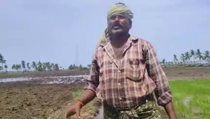 కొంకేపూడి పరిసరాల్లో సాగునీరు అందక రైతులు తీవ్ర ఇబ్బందులు ఎదుర్కొంటున్నారు #localissue
