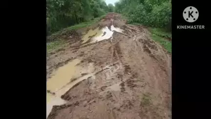 पलारी: कोदवा-जर्वे मार्ग निर्माण की मांग 15 साल से ठप, ग्रामीणों ने उठाई आवाज