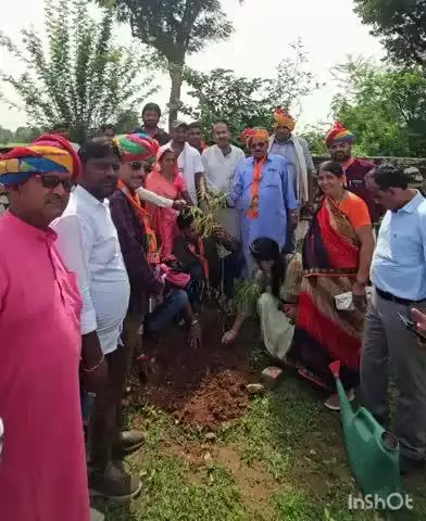 गढ़ी: सरेड़ी बड़ी में मुख्यमंत्री वृक्षारोपण महाअभियान के तहत कार्यक्रम आयोजित, विधायक मीणा ने की शिरकत