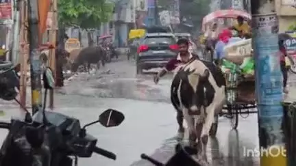 आरा: आरा शहर में झमाझम बारिश से सड़क तालाब में तब्दील, नगर निगम की खुली पुल