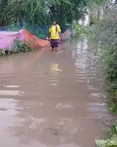 नगर पंचायत मारो के वार्ड क्रमांक आठ में बारिश का पानी भरा, निकासी की समस्या से बढ़ी परेशानी