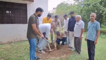 भूपालसागर: भूपालसागर में भाजपा ने पौधारोपण कार्यक्रम आयोजित किया, पर्यावरण संरक्षण का लिया संकल्प