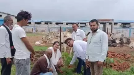 गुनौर: गन्नौर जनपद पंचायत सीईओ रानू जैन ने अमानगंज तहसील क्षेत्र की गौशालाओं का निरीक्षण किया