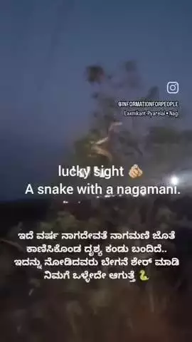 ಚಾಮರಾಜನಗರ: *ಅದೃಷ್ಟ ತರುವ ದೃಶ್ಯ 🫵🏼 ಸರ್ಪವು, ನಾಗಮಣಿಯೊಂದಿಗೆ*


ಈ ವರ್ಷ, ನಾಗದೇವತೆಯನ್ನು ನಾಗಮಣಿಯೊಂದಿಗೆ ಕಾಣಿಸಿಕೊಳ್ಳುವ ದೃಶ್ಯ
