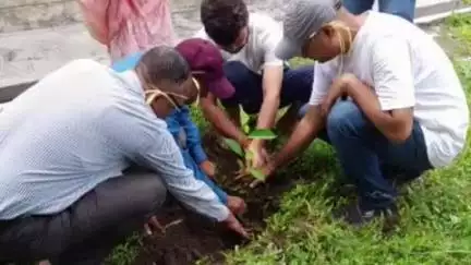 पूर्णागिरि: पूर्णागिरि तहसील परिसर में एसडीएम आकाश जोशी के नेतृत्व में हरेला पर्व पर फलदार वृक्षों का रोपण किया गया