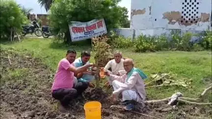 मोठ: मोठ में ऑल इंडिया पत्रकार एकता संघ ने 'एक पौधा मां के नाम' कार्यक्रम के तहत पर्यावरण बचाने का दिया संदेश