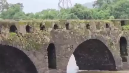 महाड: अंबा नदीवरील पुलावरून उडी मारलेल्या महिलेचा अद्याप शोध लागला नाही, शोध मोहीम सुरू