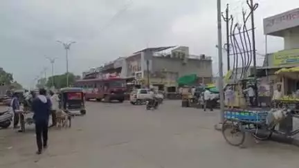 मुर्तीजापूर: भगतसिंग चौक येथे शहर पोलिसांच्या नाकाबंदीत गोवांश जनावराची हाडे वाहतूक करणाऱ्या वाहनाला मुद्देमालासह घेतले ताब्यात
