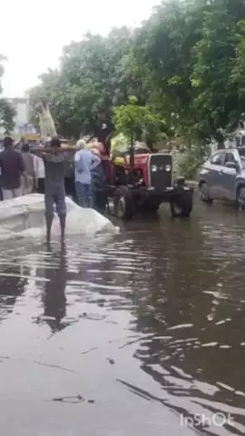 भरतपुर: सरसों मंडी में सरसों बेचने आए किसानों की फसल भीगने से हुआ नुकसान