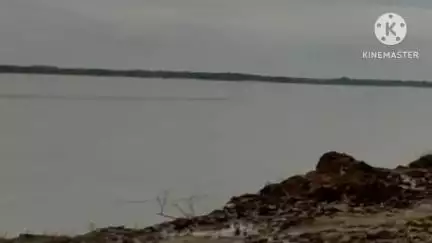 নয়াগ্রাম: সুবর্ণরেখা নদী ভাঙ্গনে আতঙ্কিত নয়াগ্ৰামের নদী তীরবর্তী এলাকার বাসিন্দারা,নদী ভাঙ্গনের মুখে বিপন্ন একাধিক চাষের জমি