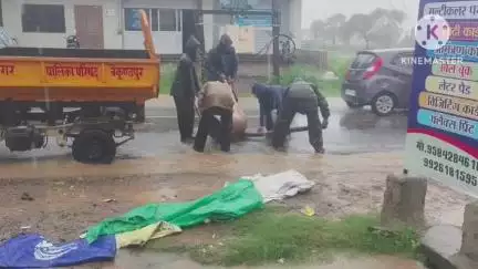 बैकुंठपुर: ओढगी नाका में घायल गौवंश रातभर तड़पता रहा, नगरपालिका टीम ने सुबह सुरक्षित स्थान पर लाकर करवाया उपचार