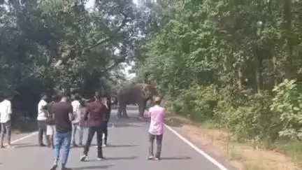 ଚମ୍ପୁଆ: କାଳିକାପ୍ରସାଦ ତାରିଣୀମନ୍ଦିର ନିକଟରେ ଦେଖାଗଲା ଗୋଠଛଡା ଦନ୍ତା, ଯାତାୟାତ ପ୍ରଭାବିତ
