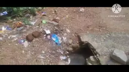 खूंटी: जन्नत नगर में लगातार हो रही बारिश से हुआ जल जमाव लोगों को हो रही परेशानी  #jansamasya