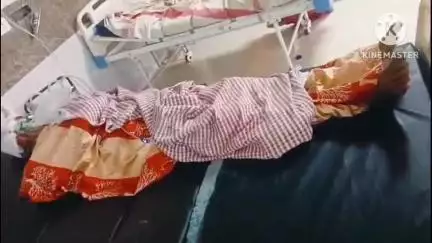 थावे: रामनगर में भालू ने किसान पर किया हमला, किसान अस्पताल में भर्ती