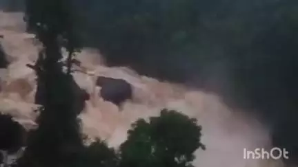 കോഴിക്കോട്: തോരാത്ത പെയ്ത്ത്, തൃക്കന്തോട് ഉരുൾപൊട്ടി, ചുരം റോഡിൽ ഗതാഗത നിയന്ത്രണം, സ്‌കൂളുകൾക്ക്‌ നാളെ അവധി