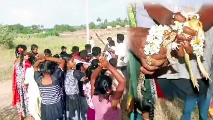 పలమనేరు: పాతపేటలో వర్షాలు కురవాలని వరుణ దేవుని పూజిస్తూ కప్పదేవర నిర్వహించి కప్పలకు పెళ్లి చేసిన గ్రామస్తులు