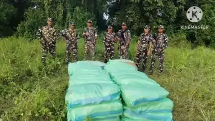 नरपतगंज: एसएसबी जवानों ने अचरा के समीप 4590 बोतल नेपाली शराब किया ज़ब्त, तस्कर फरार