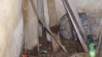 भदेसर: भदेसर के गोपी का खेड़ा गांव में कोबरा की दस्तक से दहशत, रेस्क्यू टीम ने सांप को सुरक्षित जंगल में छोड़ा