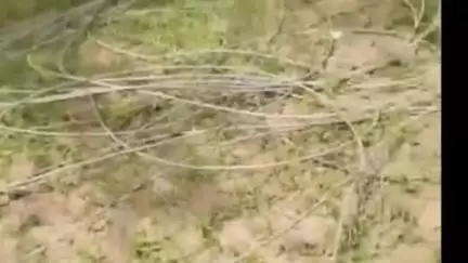 सेड़वा: दीपला गांव में सरकारी स्कूल परिसर में बिजली का तार टूटकर गिरा, मौके पर भय का माहौल