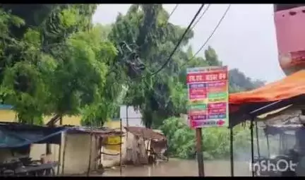 परैया: परैया बाजार से थाना जाने वाली सड़क पर गिरे दो विशाल पेड़, घंटों बाद सामान्य हुआ आवागमन
