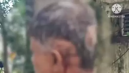 मिरज: सांगली वाडीतील वृद्ध व्यक्तीवर कृष्णा नदीत शंकर घाटावर १४ फुटी मगरेने केला हल्ला; जखमी वृद्ध पोहण्यासाठी नदीत गेले होते