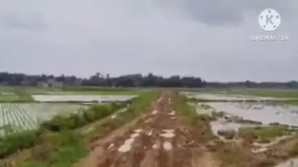 জয়পুর: হাটু সমান কাদা, রাস্তায় দাঁড়িয়ে আছে জল, সেই জলের উপর দিয়েই যাতায়াত গ্রামবাসীদের, জয়পুরের ঘটনা #jansamasya