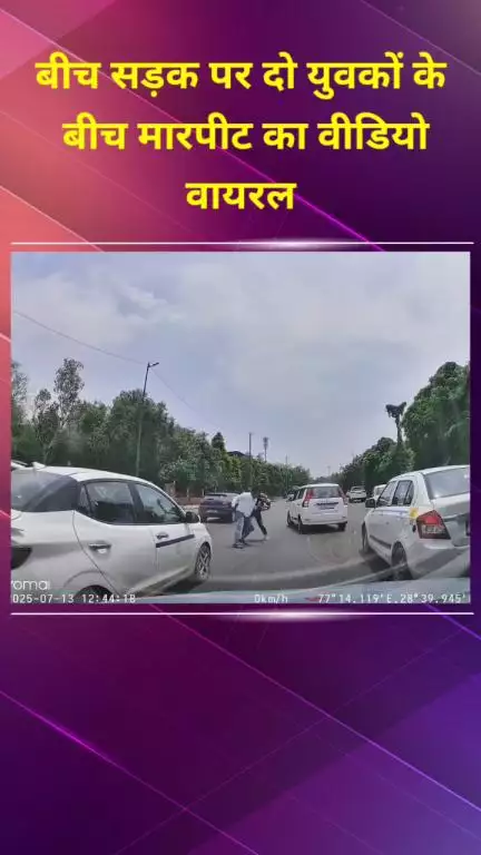 मॉडल टाऊन: बीच सड़क पर दो युवकों की मारपीट का वीडियो वायरल
