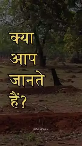 पेड़ लगाकर, स्वच्छ हवा की ओर हम सभी अपना कदम बढ़ाएं। #एक_पेड़_माँ_के_नाम #baloddistrict