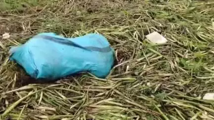तालबेहट: बस्तगुआ के निकट शहजाद बांध के भराव क्षेत्र में बोरी में मिला महिला का शव, मचा हड़कंप, पुलिस मामले की जांच में जुटी