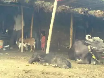 जनक यादव का संपत्ति संपत्ति को दिखाने के लिए बोला है फेसबुक और व्हाट्सएप न्यूज़ पर चलने के लिए किसको दिखाएंगे खुद पता नहीं है हमको
