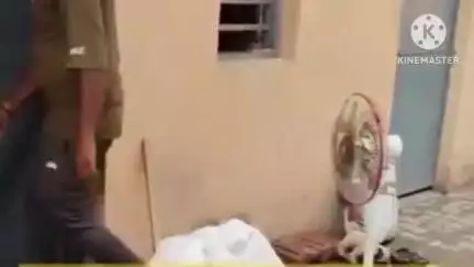 पानीपत: पानीपत के आसन कलां में अवैध रूप से रह रहे 6 बांग्लादेशी पुलिस द्वारा काबू