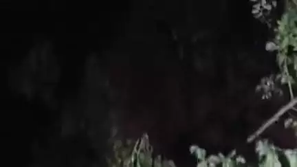 अस्थावां: झारखंड से पानी छोड़े जाने के बाद नालंदा की नदियों में उफान, अस्थावां के सदरपुर में तटबंध टूटा