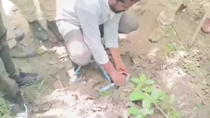 కామారెడ్డి: పెద్ద పులిని హతమార్చేందుకు యత్నించిన నలుగురు వ్యక్తులు అరెస్ట్ : డీఎఫ్ఓ నిఖిత