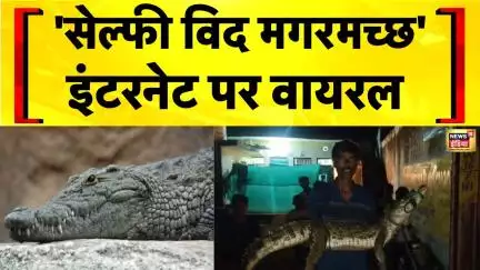 Selfie with Crocodile : मगरमच्छ को देखते ही सेल्फी लेने लगे लोग | MP News | Wildlife