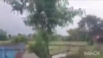 जोहवाशर्की में तीन माह पूर्व बनी सड़क पहली बारिश नहीं झेल पाई, वीडियो सोशल मीडिया पर हुआ वायरल