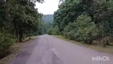 अन्तागढ़: अंतागढ़ ब्लॉक के ग्राम कढ़ाईखोदरा के पास दतैल हाथी ने सायकल सवार पर किया हमला, सायकल सवार बाल-बाल बचा