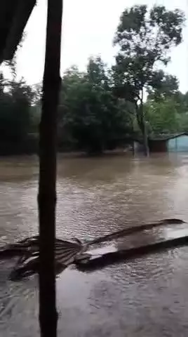 Allipur hatta gachhi tola me baris aane par ham log ka aane jae me bahut taklif hota hai nahi raste hai ward.13 mahnar