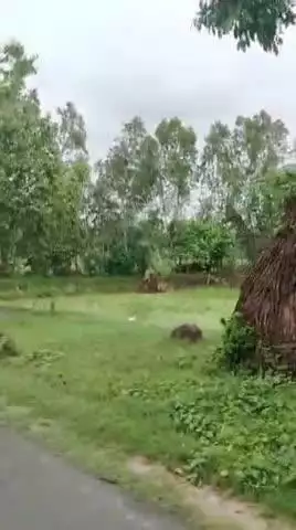 ग्राम सैजना जिला पीलीभीत  थाना न्यूरिया 
शेर ने किया हमला 
#