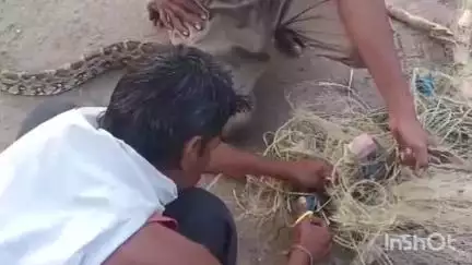 धरमपुरी: नर्मदा नदी में मछली पकड़ने के दौरान जाल में फंसा अजगर, रेस्क्यू कर जंगल में छोड़ा, वीडियो वायरल