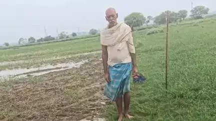 बख्तियारपुर: मोगलपुरा विगहा में वज्रपात से भैंस की मौत, किसान बाल-बाल बचा, मुखिया ने मुआवजे की मांग की