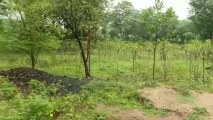 डिंडौरी: मप्र शासन कुटीर एवं ग्राम उद्योग विभाग, डिंडौरी में रेशम उत्पादन के लिए 70 हितग्राहियों का पंजीयन किया गया