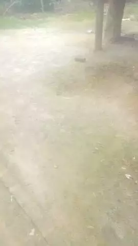 कछुवाहेन निवादा 
रसूलाबाद कानपुर देहात