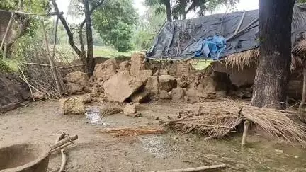 अमेठी: भेटुआ में भारी बारिश से कच्ची दीवार ढही, 11 भेड़ों की मौत, 10 घायल, प्रशासनिक लापरवाही उजागर