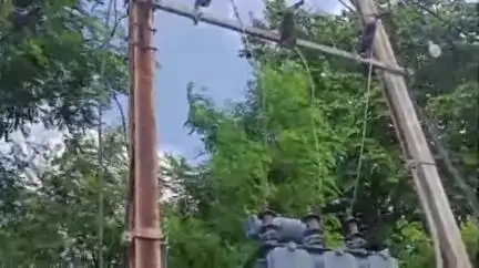 निवाड़ी: लक्ष्मणपुरा वार्ड 15 में 15 दिन से बिजली ट्रांसफार्मर खराब, लोग परेशान