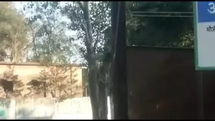 रावेर: भालोद येथून २३ वर्षीय तरुणी झाली बेपत्ता, फैजपूर पोलीस ठाण्यात नोंदवली हरवल्याची तक्रार