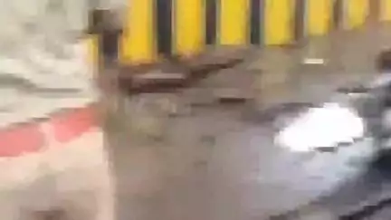 शदियाबाद में भारी बारिश के दौरान पेड़ की डाल टूटकर स्कूटी सवार पर गिरी, मौके पर हुई मौत, मचा हड़कंप