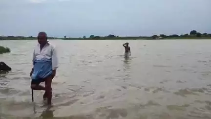 कालपी: मंगरौल संपर्क मार्ग बाढ़ के पानी में टूटने से ग्रामीणों को भारी परेशानियां, जान जोखिम में रास्ता पर कर रहे #jansamasya