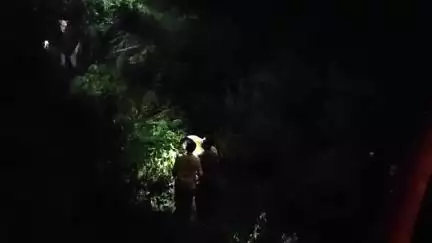 अमरावती: वलगांवमध्ये दारूच्या नशेत धुत इसमाचा थरारक अपघात! पुलावरून ७० फुट खाली कोसळला, तरी नागमोडी पावलाने गाडीकडे निघाला