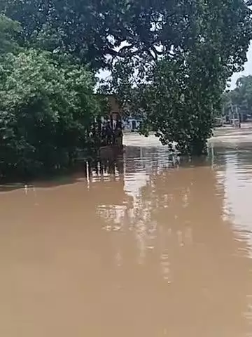 jahana Bal aane ke dekhiae Bahar a Gaya jahanabad Gandhi maidan@